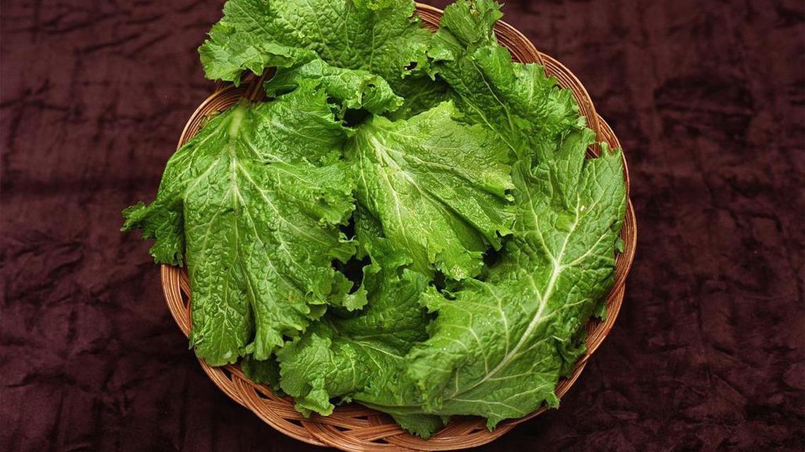 Ask a Gardener: It’s time to plant coles for winter harvest