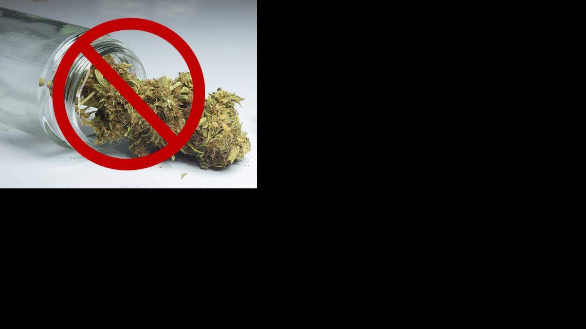 Everson becomes first city in county to ban retail pot sales