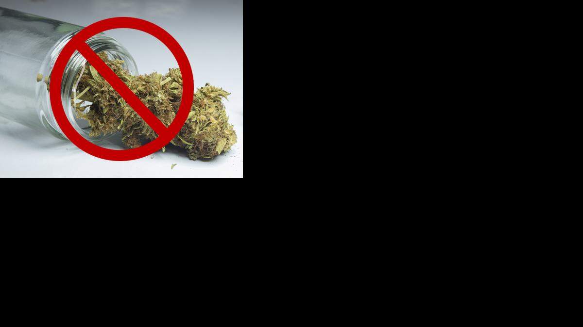 The Everson City Council on Tuesday, Sept. 22, unanimously approved a ban on growing, processing and selling recreational marijuana, becoming the first city in Whatcom County to do so.