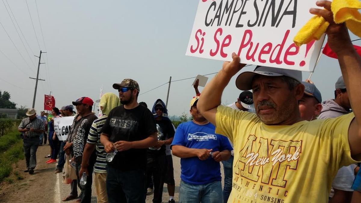 About 100 fired farmworkers and community supporters marched to the Sarbanand Farm’s office on Tuesday to demand accountability for a co-worker’s death and the wages they said they’re owed.