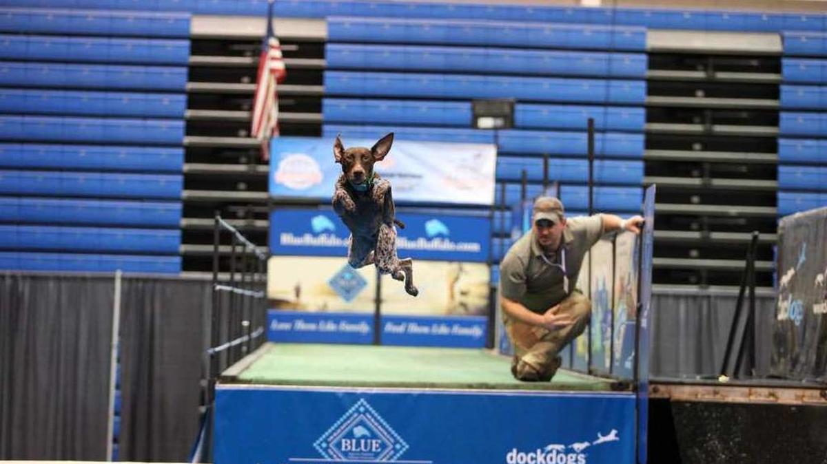 
People can register their dog for the Big Air Wave competition, one of three dog-jumping events, coming to the Northwest Washington Fair, which runs Aug. 17-22 in Lynden.

