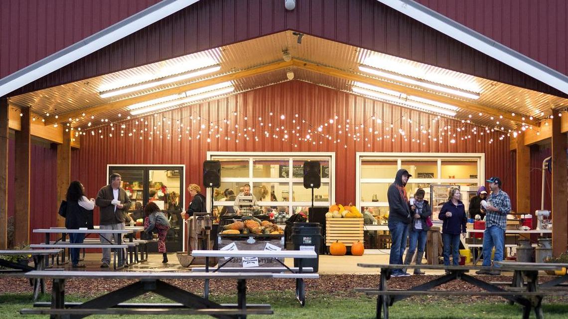 Ciderfest returning to Whatcom County, featuring local breweries and live music