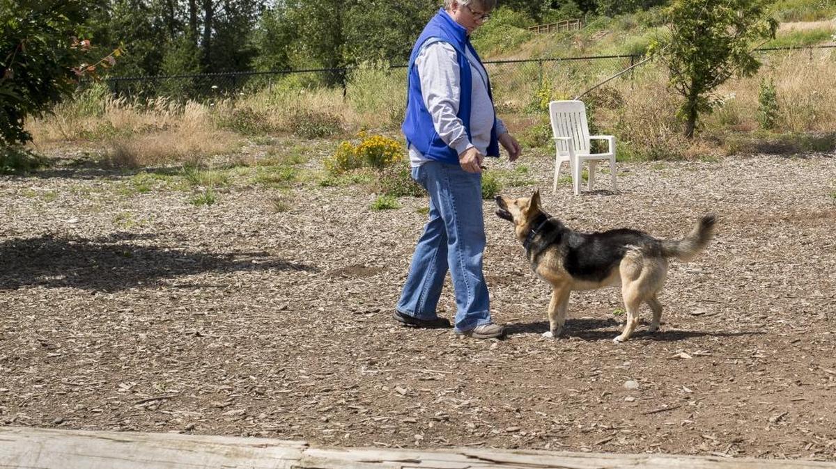 Karin Henson plays with her dog Harper at Squalicum Creek Park in Bellingham. The city requires the owner or handler of any dog to “remove fecal matter deposited by their animal on public property or public easement before the owner leaves the immediate area where the fecal matter was deposited.”