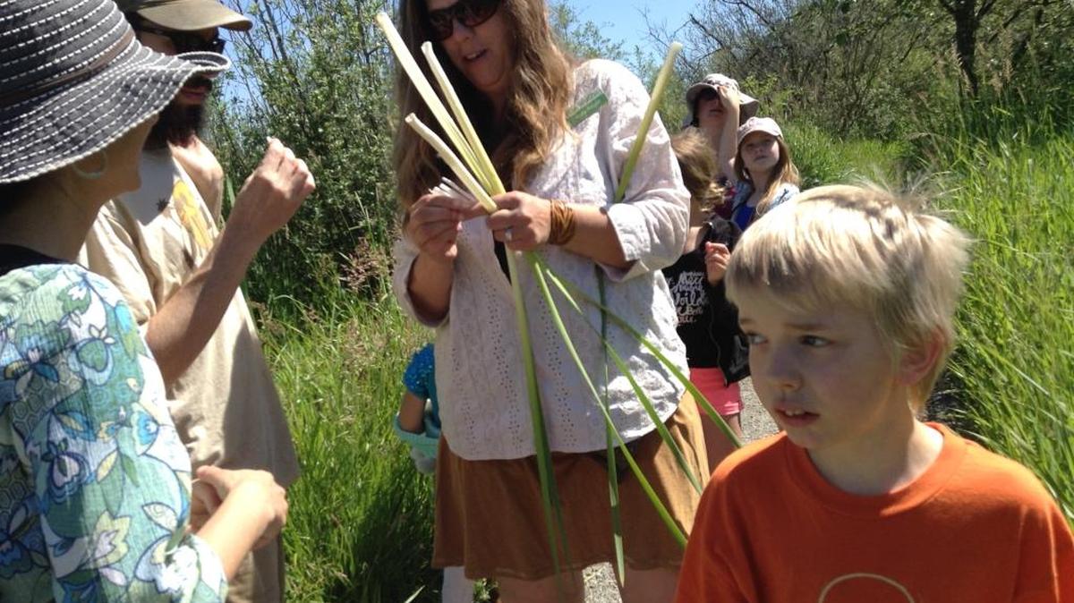 Wild Whatcom’s Holly Roger explains the biology of a cattail to students during a spring 2015 outing at Tennant Lake.