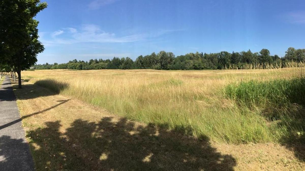A public meeting has been set to review and comment on plans for the first phase of the new community park in the Cordata neighborhood.