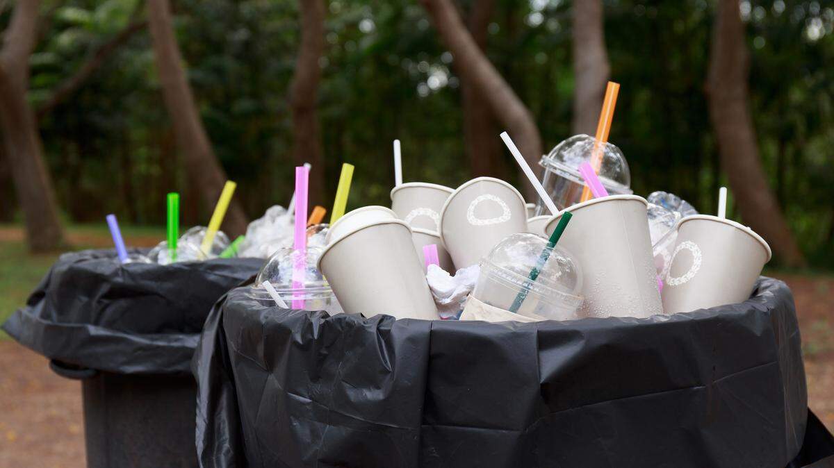 plastic straw ban