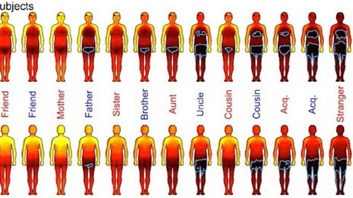 Researchers at Oxford University created a series of body maps to show where humans are comfortable being touched. Dark areas and blue outlines show hands-off body areas.