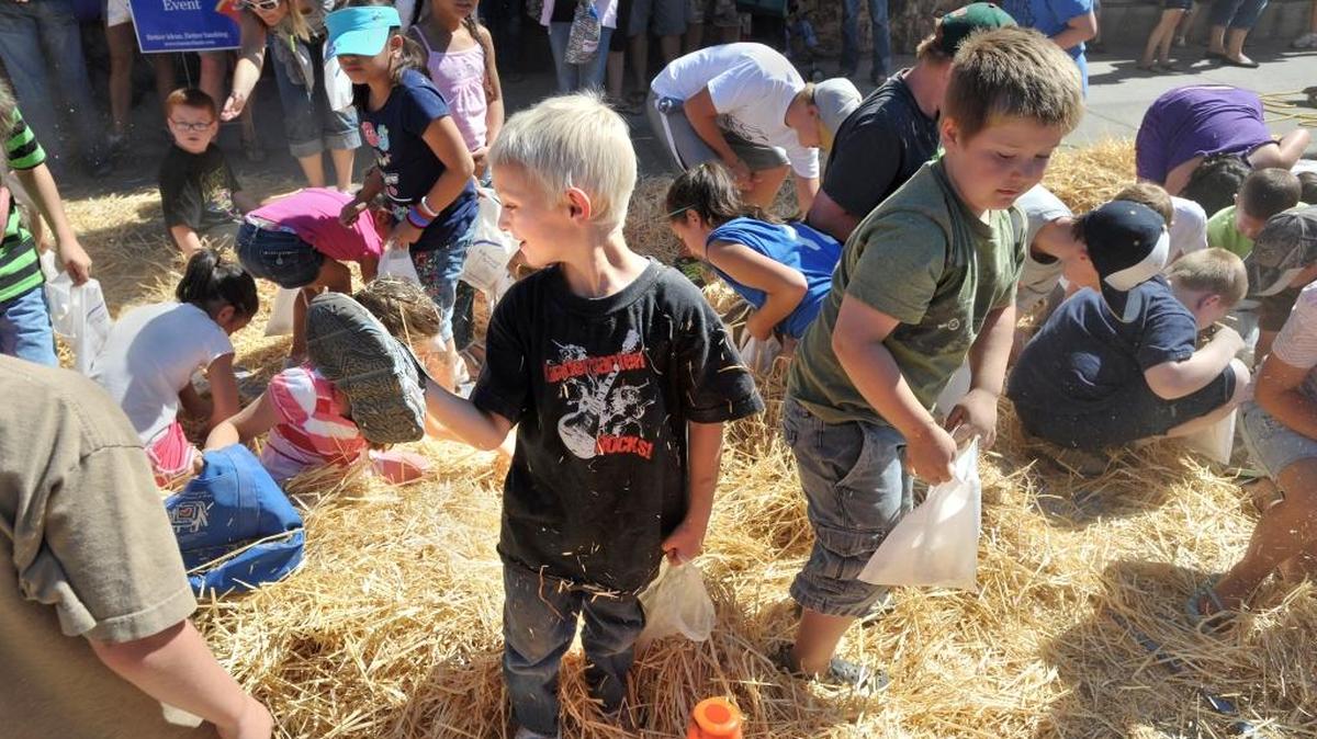 
Searching for cash and candy, Corban White, 6, of Ferndale, instead finds a shoe in the hay during the Money Hunt at the Ferndale Street Festival on Saturday Aug. 25, 2012, in Ferndale. This year’s festival is Friday and Saturday, Aug. 28 and 29.
