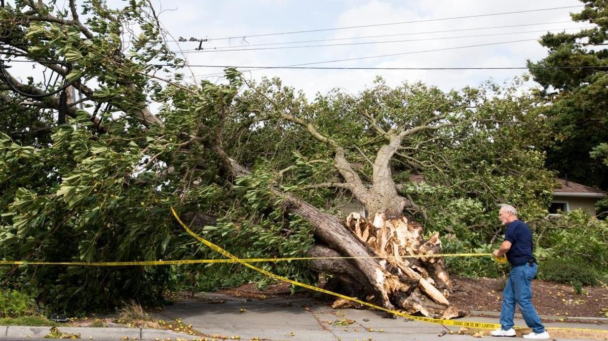 
John Stewart strings caution tape around his Eldridge Avenue property after a tree fell onto his house on Saturday, Aug. 29, in Bellingham, Wash.
