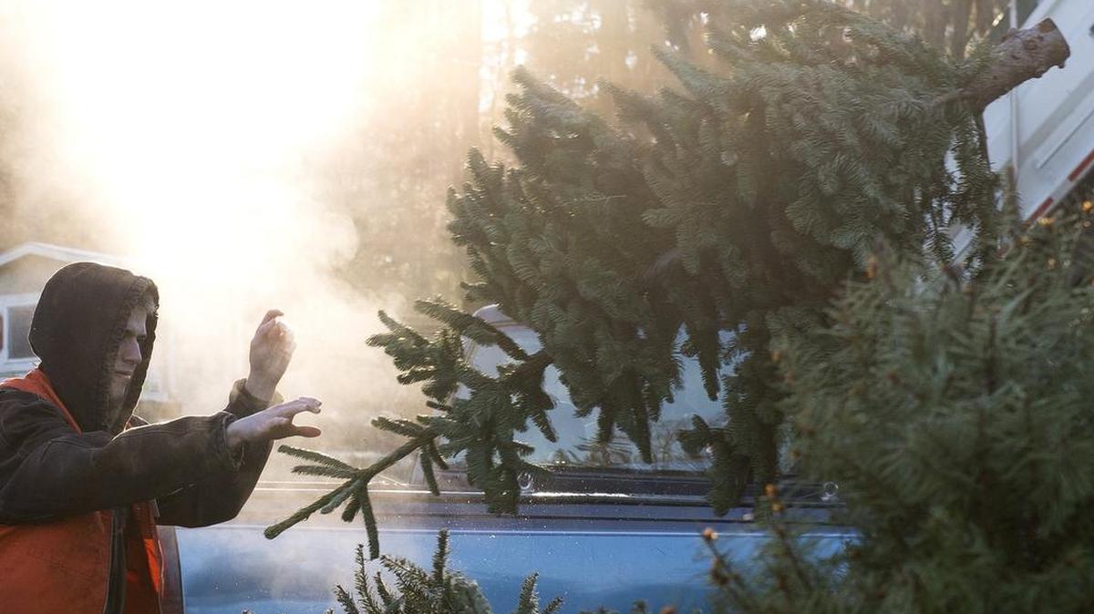 Elder Riches, a Boy Scout volunteer and Church of Jesus Christ of Latter Day Saints missionary, throws a Christmas tree on a pile at Bellingham’s Clean Green transfer station on Saturday, Jan. 9. The City Council voted Monday, Jan. 11, to end the Clean Green program.