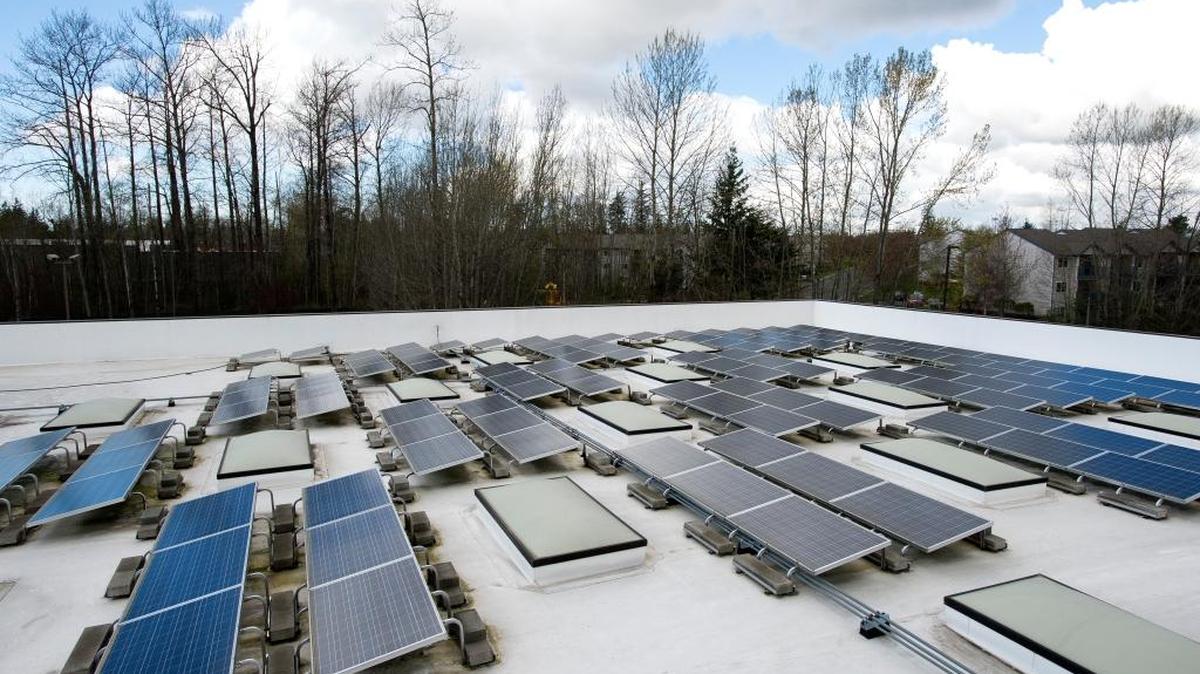 126 solar panels collect sunlight on the roof of the Community Food Co-op in the Cordata area of Bellingham on Friday, March 25. The co-op made the EPA’s list of top 30 retailers for green power use in America.