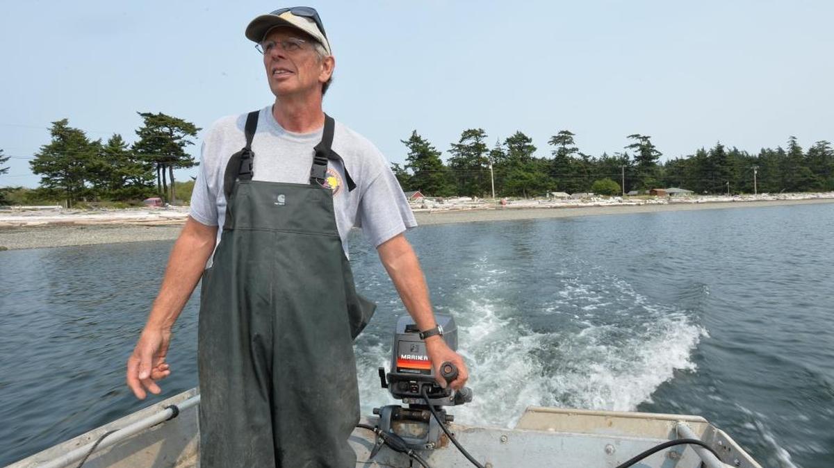 Reef net fisher Pete Granger heads out to his reef net barge off Lummi Island on Aug. 22, 2014. Granger and other fishermen may not get a chance to fish the Fraser River sockeye salmon run this year because of low counts on the returning stock.
