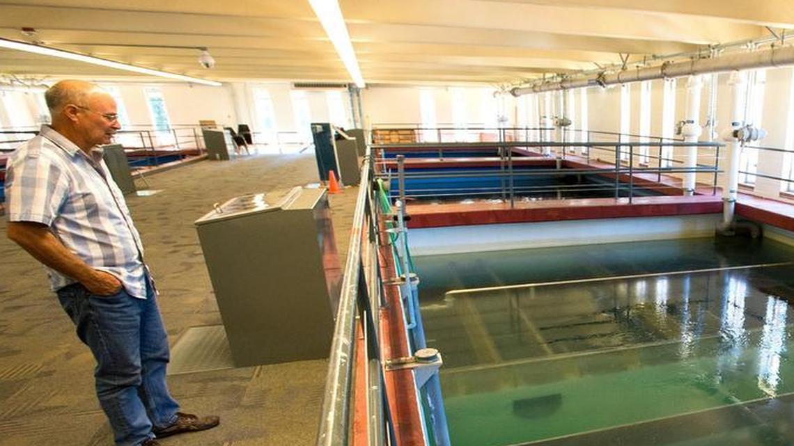 
Bill Evans, water treatment plant chief operator, stands next to a filtration tank at Bellingham’s water treatment plant on Wednesday, July 1. Bellingham draws its water from Lake Whatcom, where the water level is dropping faster than normal, but the city’s water supply isn’t expected to be affected.
