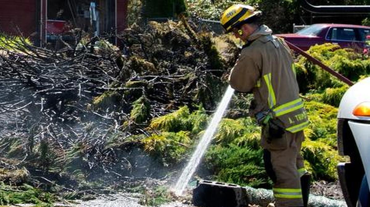
A Bellingham firefighter puts water on a smoldering patch of ground while a Puget Sound Energy worker checks a power line at a brush fire in the 1500 block of Samish Way on Tuesday, June 30, in Bellingham, Washington.
