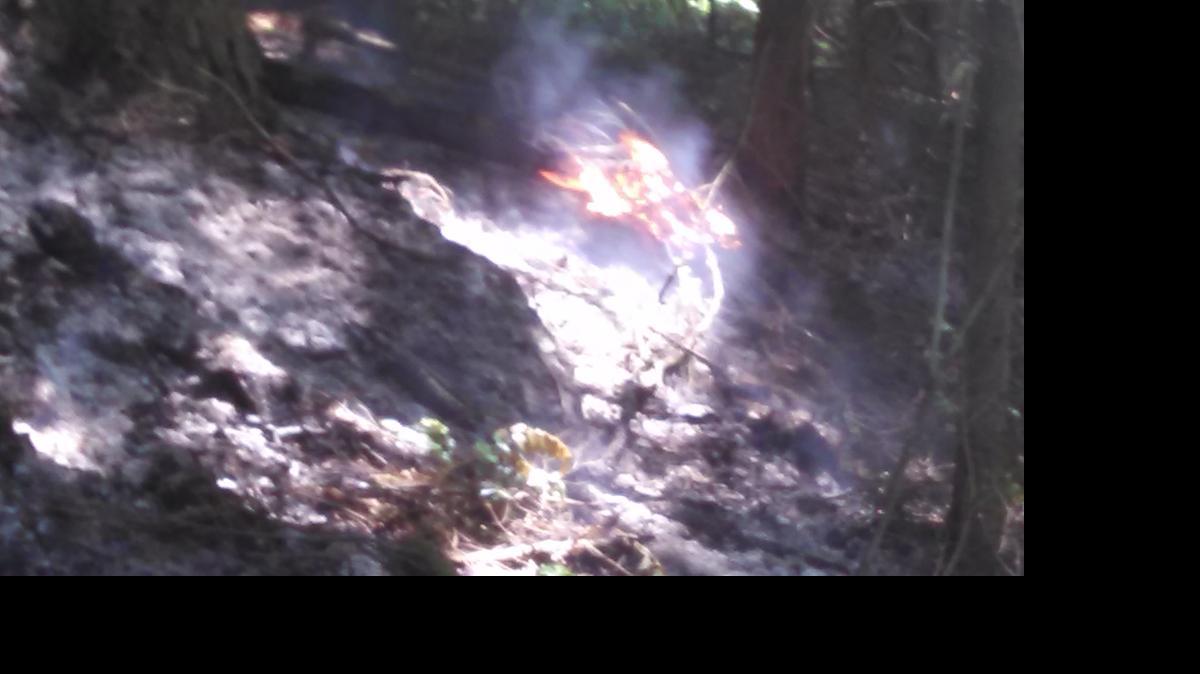 
A wildfire burns through rough terrain in the Chuckanut Mountains on Saturday, June13.

