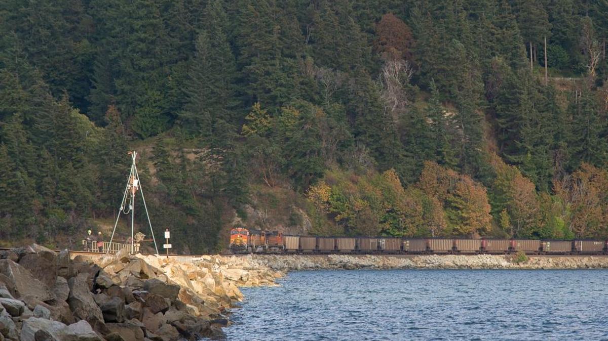 A man sits in a tripod he erected on a BNSF Railway trestle in Chuckanut Bay Saturday afternoon, Aug. 27, 2016, as a freight train sits stopped on the tracks. The man blocked the tracks to protest the transportation of fossil fuels, according to Deep Green Resistance, the environmentalist group that claimed to have planned the protest.