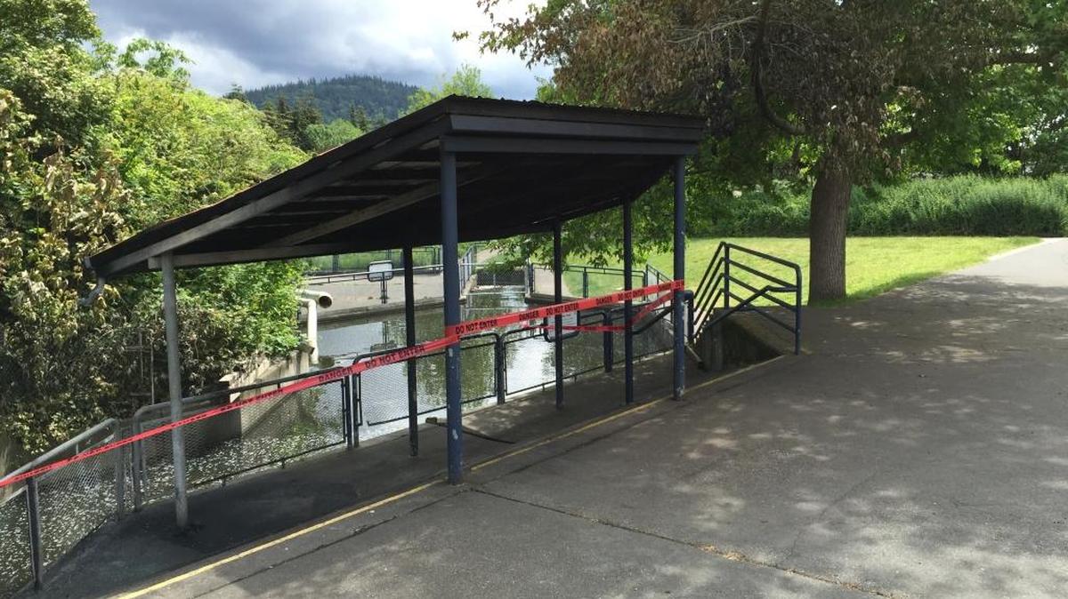 This awning near the salmon hatchery at Maritime Heritage Park was damaged in a fire lit beneath the structure Wednesday, May 18, 2016. A woman has been arrested on suspicion of arson.