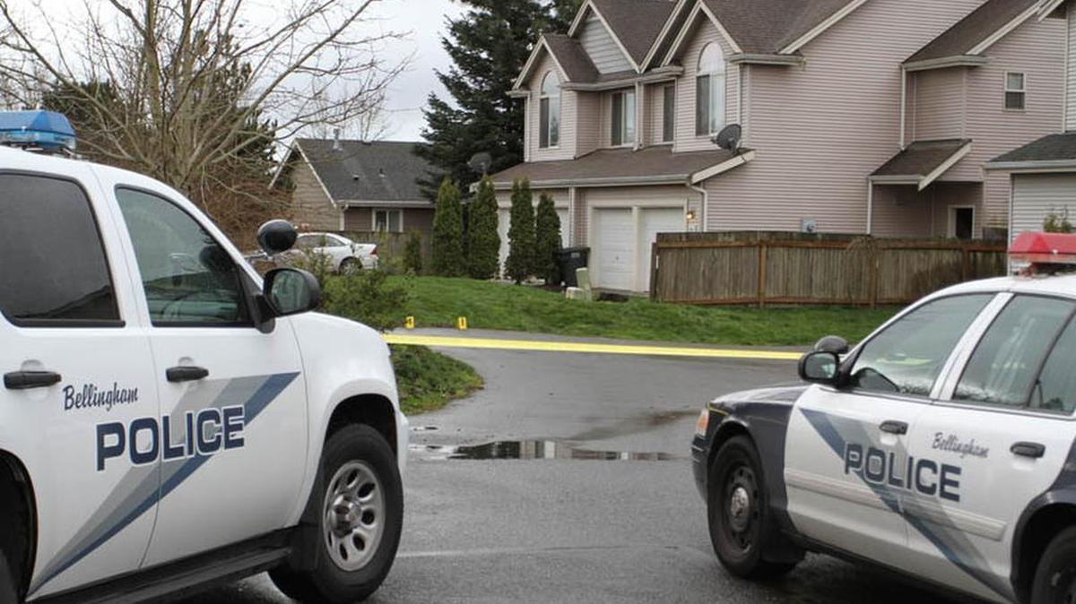 Bellingham is buying predictive policing software that will map crime patterns in the city and help officers decide where to patrol. The software, by Blair Analytics, will essentially replace the Bellingham Police Department’s current crime analyst.
