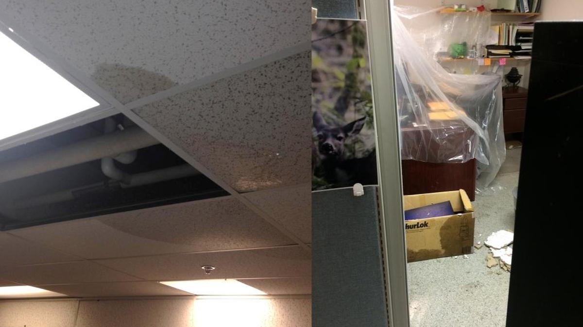 Ceiling tiles (left) were saturated with water over the weekend when a seal broke and caused water to leak from the Whatcom County Jail into the detectives’ space (right) in the Whatcom County Sheriff’s Office.