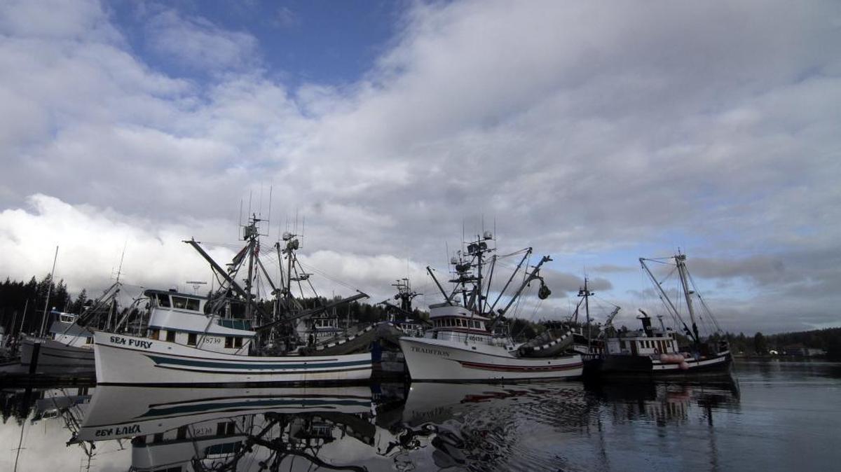 A first aid course for those who work on water, such as the fishermen from these boats in Gig Harbor, will be held May 9 in Bellingham.