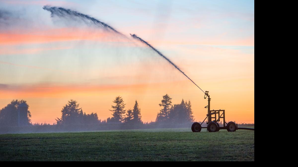 
Watering a field near Lynden, Friday, June 5, 2015.
