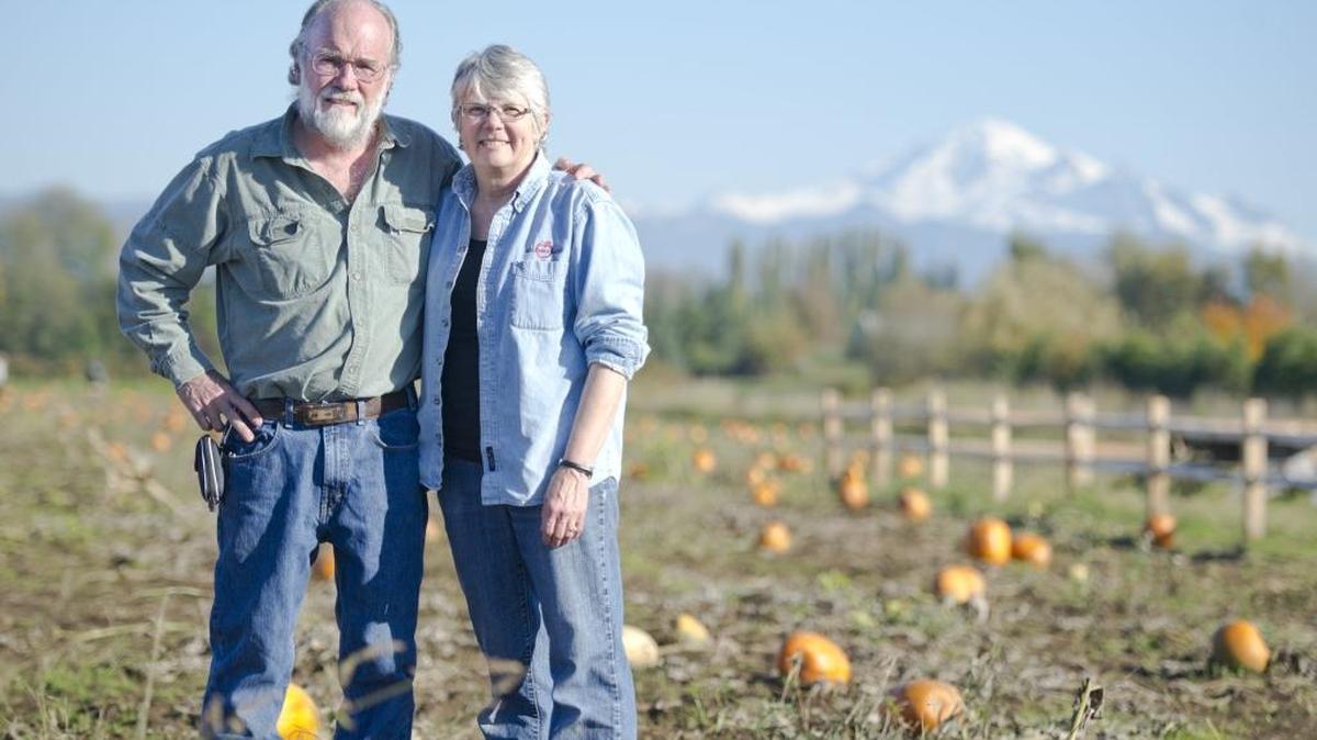 BelleWood Acres owners John and Dorie Belisle stand in their pumpkin patch on Oct. 23, 2013. The Belisles are putting the farm up for sale as they prepare for retirement.