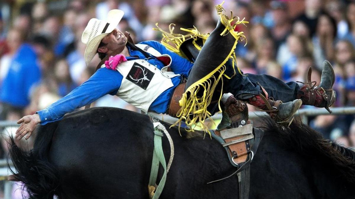 Taylor Price competes in the bareback riding competition at the 2016 Lynden PRCA Rodeo at the Northwest Washington Fair in Lynden. This year’s rodeo events are Tuesday and Wednesday night. Grandstand tickets are $15 with kids 10 and under free.