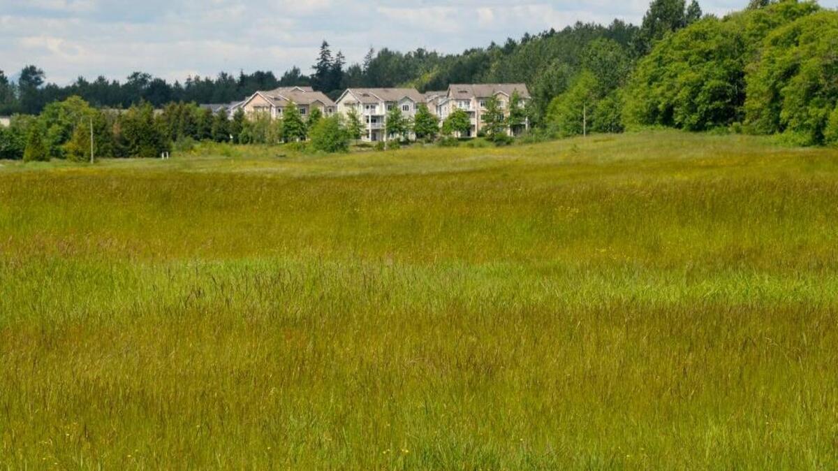 What is unofficially being called Cordata Community Park, in Bellingham, Friday, May 20, 2016, is one of the properties acquired by the city of Bellingham that would be developed into a park if voters approve Greenways IV in November.