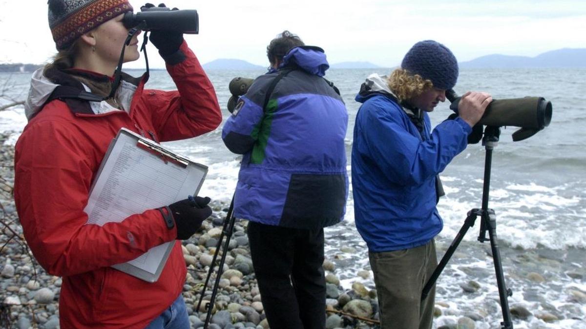 Johanna Hobart-Crane (left) scans the water at Cherry Point for marine birds as Fairhaven College associate professor John Bower and student Adam Peck-Richardson use spotting scopes to count the birds on Dec. 9, 2004.