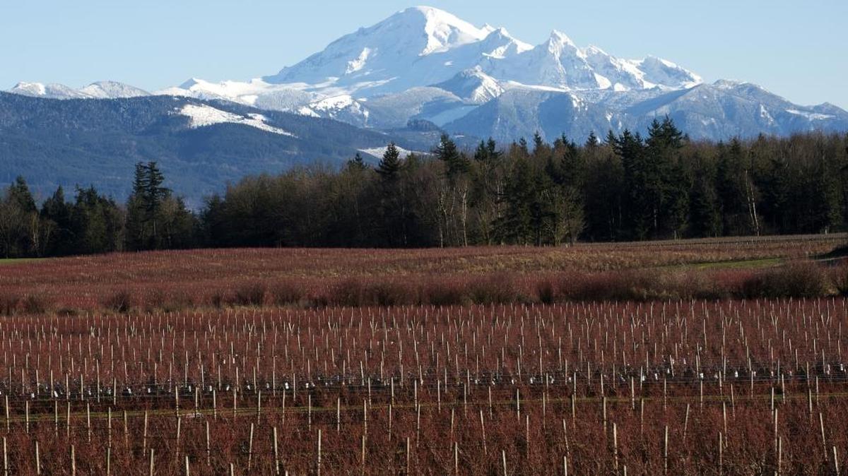 Mount Baker, which is an active volcano, as seen from Hannegan Road on Dec. 31, 2015, near Lynden.
