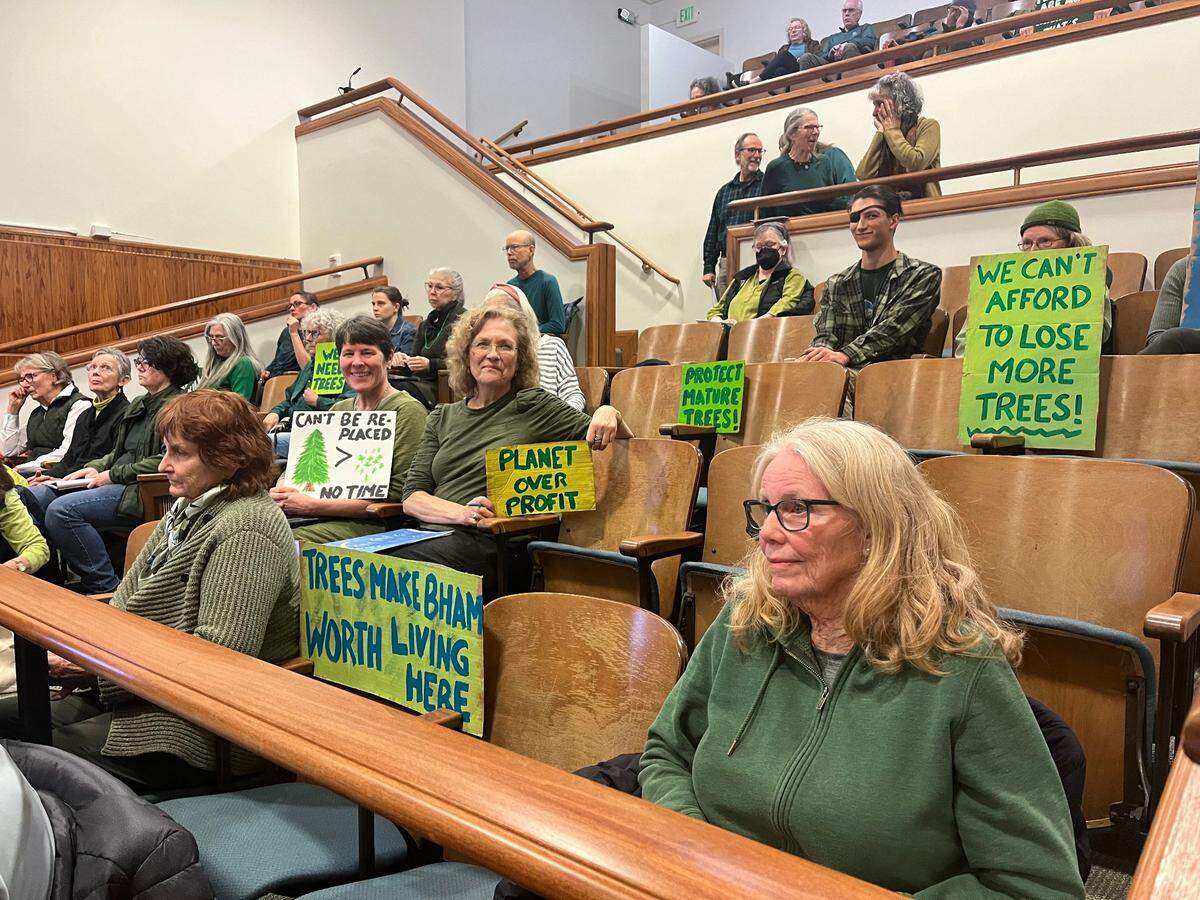 About 50 people filled a Hearing Examiner meeting on Wednesday, March 13, 2024, to express concern about the proposed loss of more than 300 trees at the hands of a proposed infill townhome development in Bellingham, Wash.