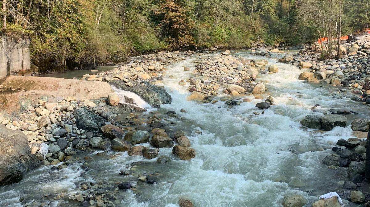 Water in the Middle Fork of the Nooksack River flows free Wednesday, Sept. 30, 2022, several years after the removal of the Middle Fork diversion dam in Whatcom County, Wash.