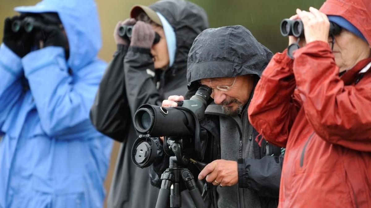 Birders use binoculars while Paul Woodcock, center, uses a spotting scope at Semiahmoo Spit in 2009. Woodcock and Jim Jorgensen will lead a field trip to the spit on Saturday, March 11 as part of the Wings Over Water Northwest Birding Festival.