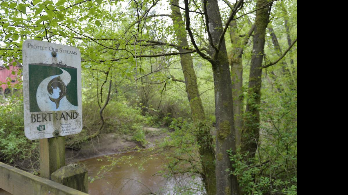 
Bertrand Creek runs through in Bethusen Park in Lynden, Tuesday, April 21, 2015.
