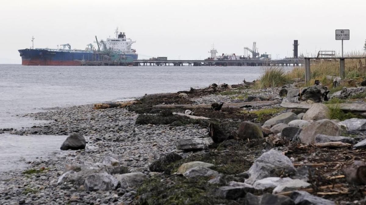 A ship is seen in the distance moored at the BP oil refinery in the Strait of Georgia on Oct. 23, 2012, just beyond the location of a proposed coal exporting terminal in Ferndale, Wash.