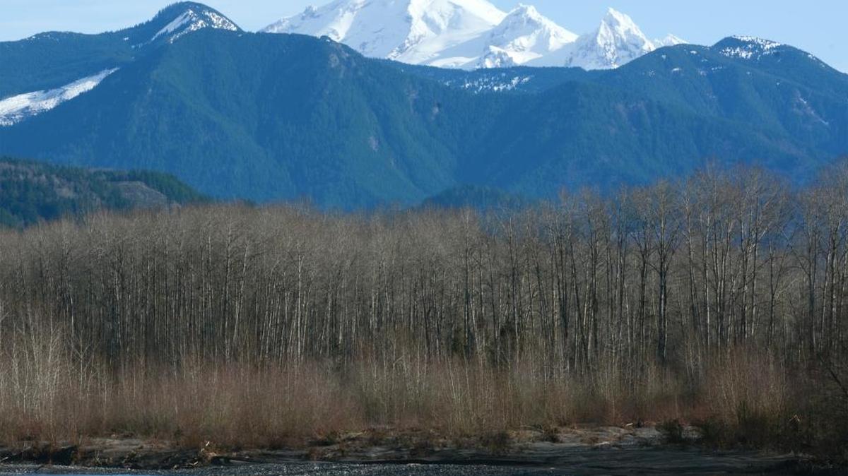 Mount Baker and the Nooksack River seen from Nugents Corner on Tuesday, Feb. 9, 2016. The spring-like weather set a record when the temperature reached 61 degrees.