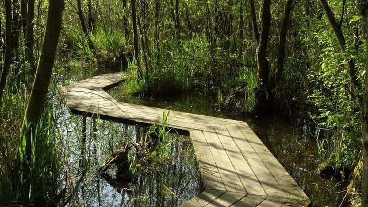 The Tennant Lake Boardwalk will be closed through Oct. 31, starting Monday.