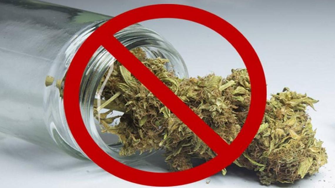 Lynden continues move toward permanent ban of marijuana