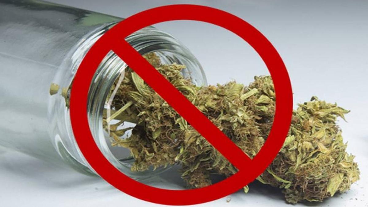 Lynden is expected to extend its temporary ban on marijuana growers and retailers during a city meeting Monday, Feb. 1. As soon as March, city leaders could vote in a permanent ban.