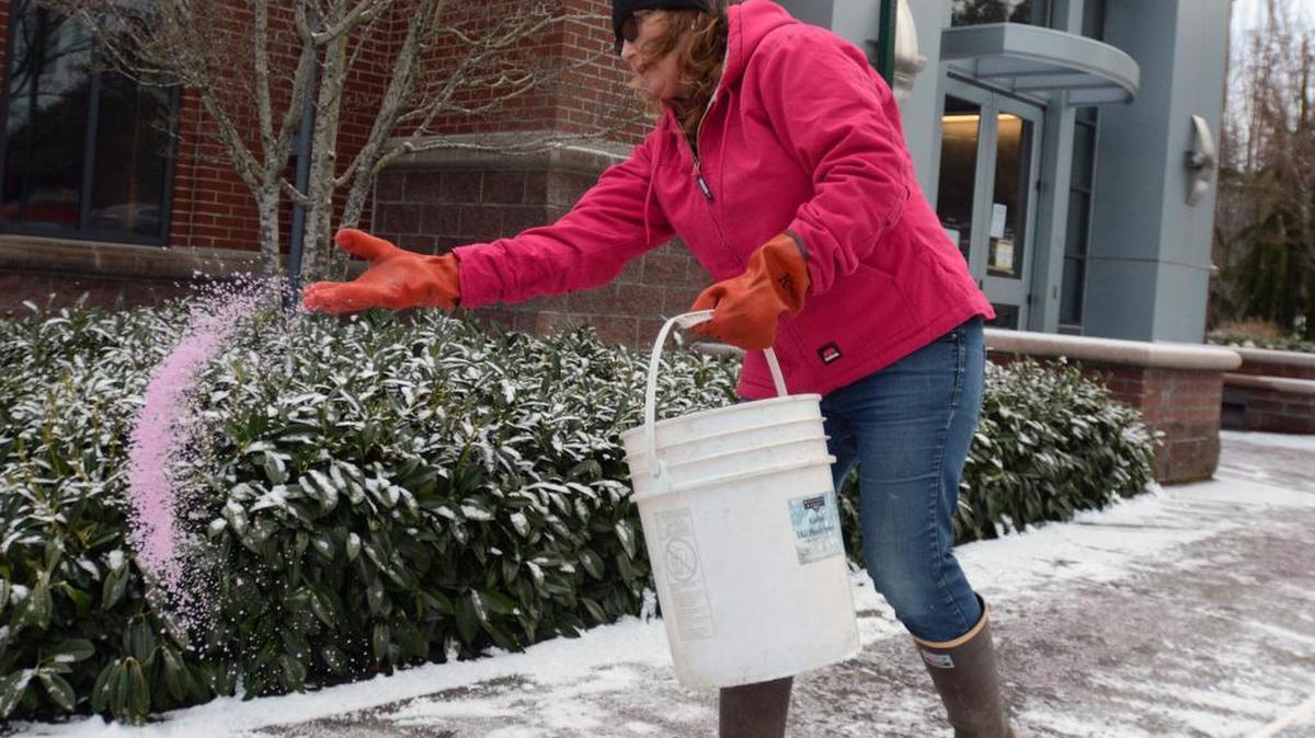 Tracy Hendon, a gardener at Western Washington University, spreads snow-melting crystals on the light snow in front of the Washington Archives building on 25th Street in Bellingham on Monday morning, Jan. 4, 2016.