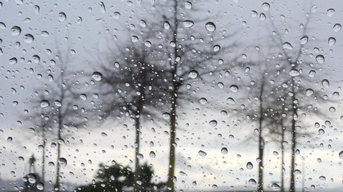 Rainfall of .93 inch was recorded Thursday, Jan. 11 at Bellingham International Airport, according to the National Weather Service. That breaks the daily rainfall record of .61 inches that fell January 11,1971.