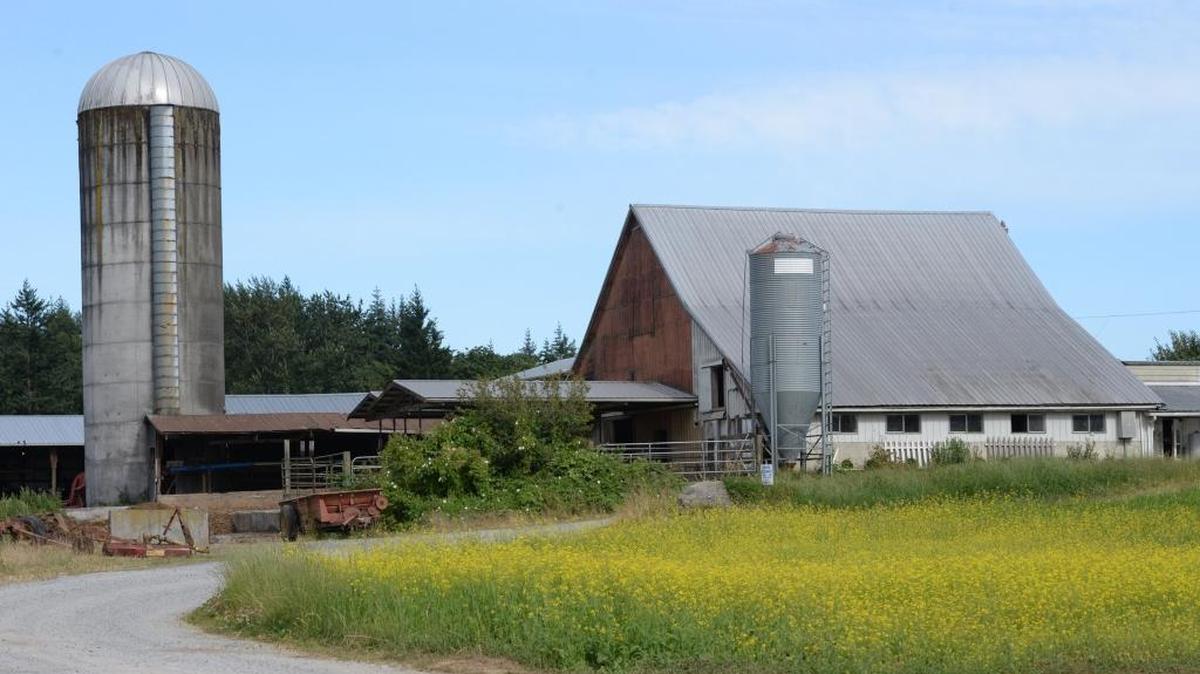 Snook Brook Farms, north of Ferndale, July 19, 2017.
