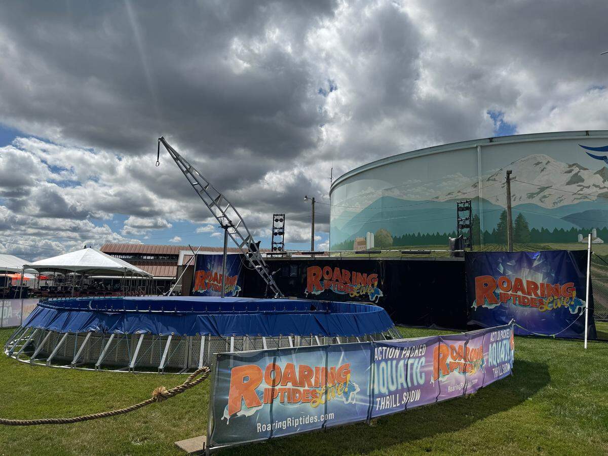 The “Roaring Riptides Live!” aquatic thrill show performance stage.