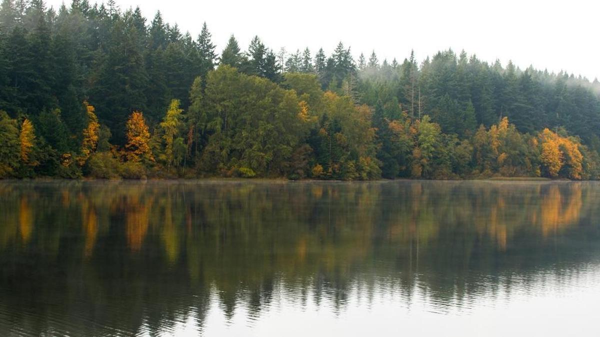 Lake Padden is pictured on Oct. 24, 2015 in Bellingham, Wash.