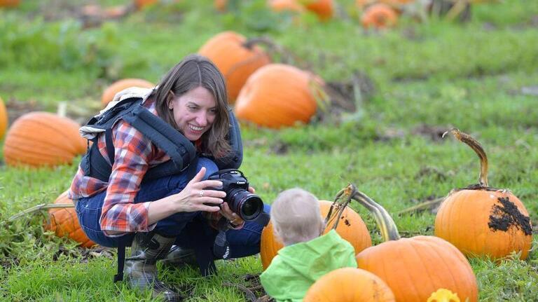 Pumpkin patch guide: Tractor rides, apple picking and more across Whatcom County