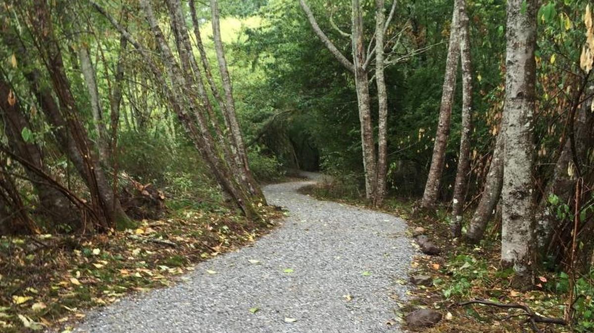 
This new gravel trail replaces the muddy path that went through wetlands in Fairhaven Park. Recreation Northwest led the project to create the route, which put people on a new path, to help protect the wetlands.
