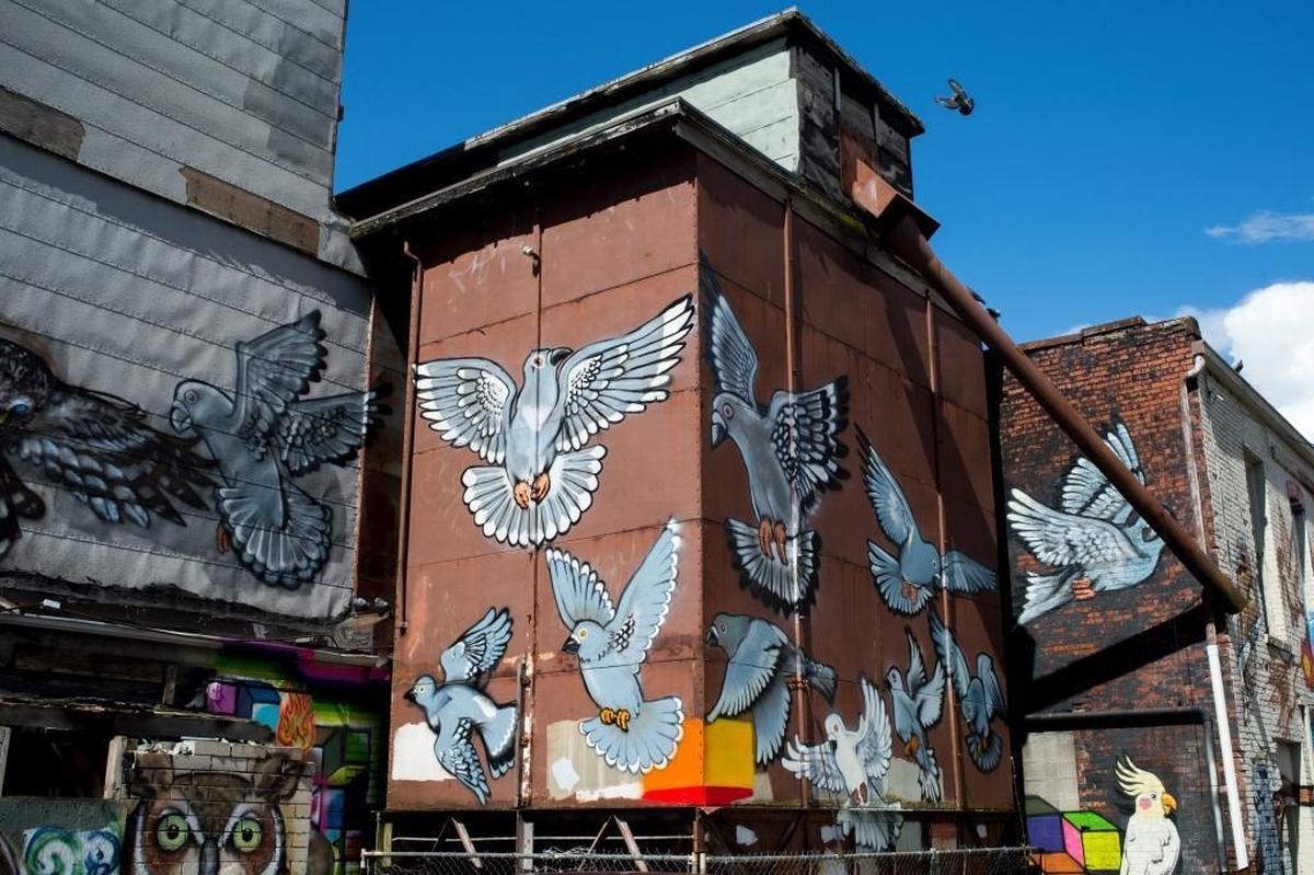 Shawn Cass hopes to paint 100 birds in Bird Alley behind Hohl Feed & Seed.