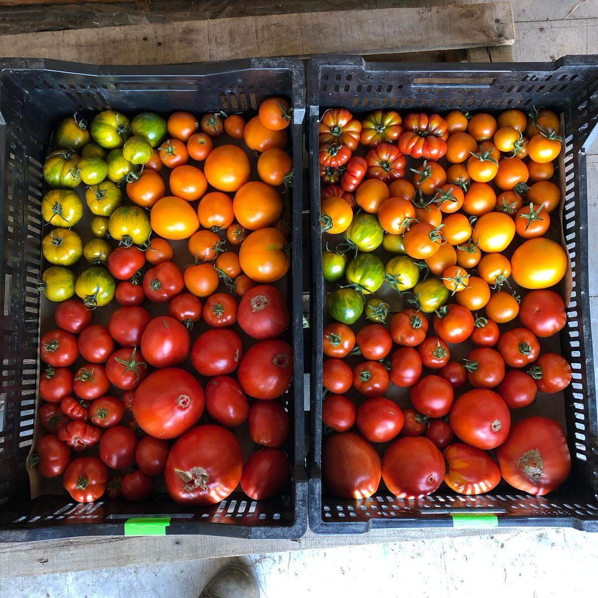 The Birchwood Food Desert Fighters distributes fresh fruit and vegetables to community members to improve food access in Bellingham, Wash.