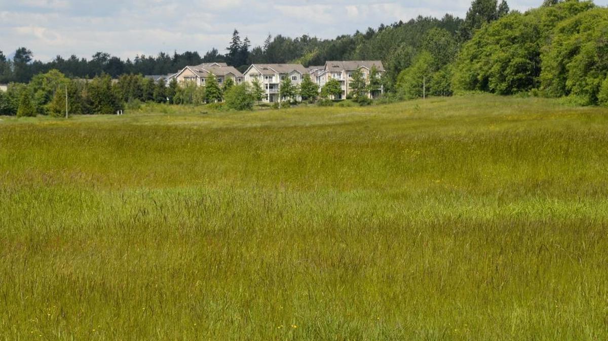 Bellingham residents are invited to submit ideas on what they think should be included in the playground of the new park in the Cordata neighborhood.