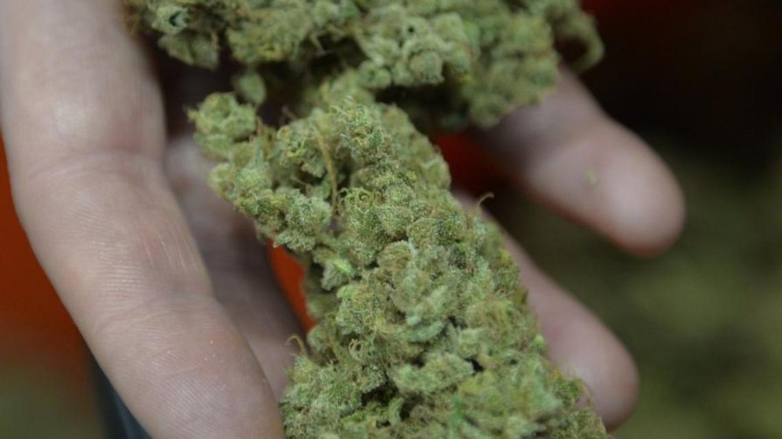 Whatcom isn’t No. 1 when it comes to marijuana sales
